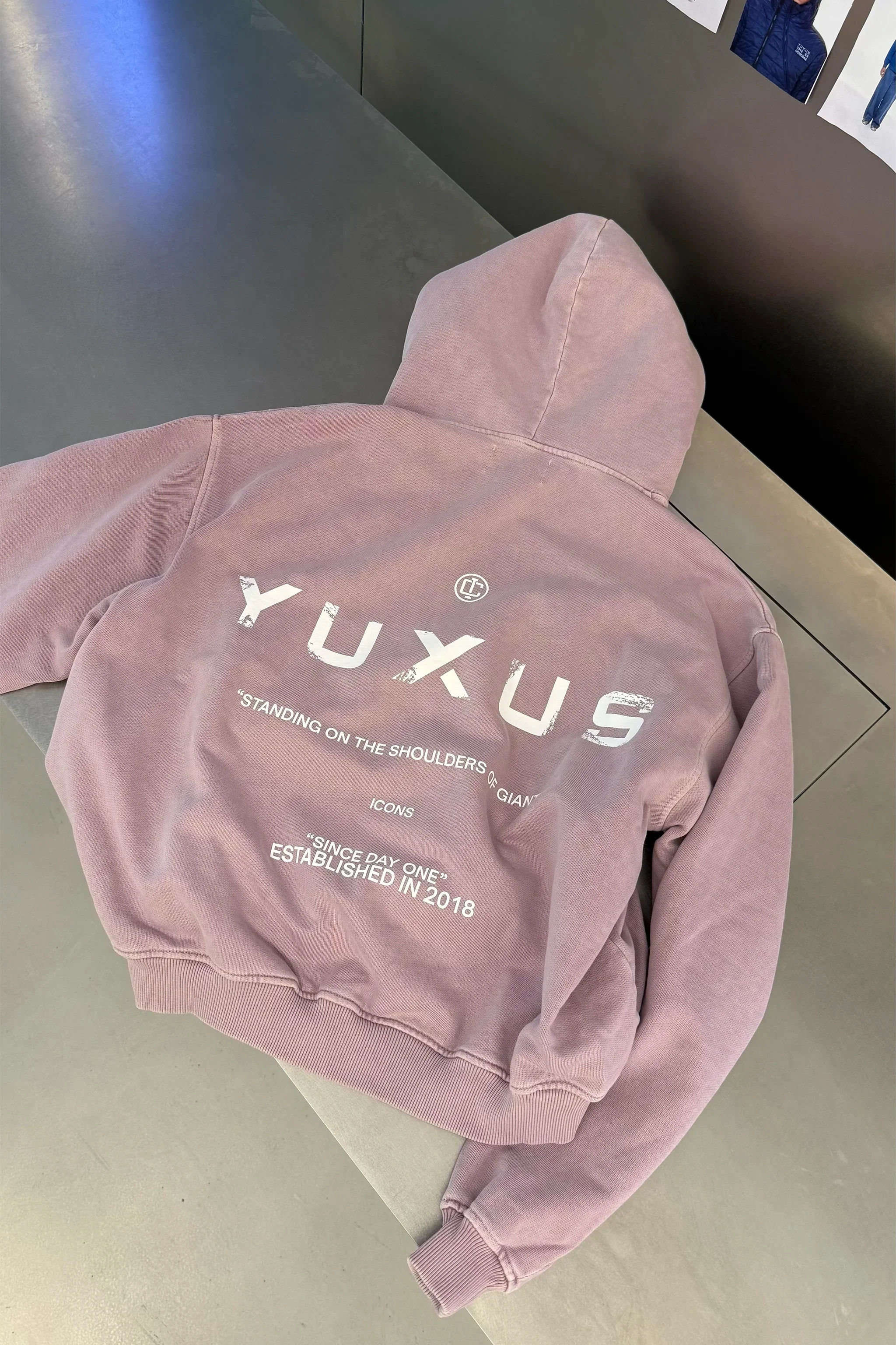 BLOSSOM "ICONS" HOODIE - Image 4
