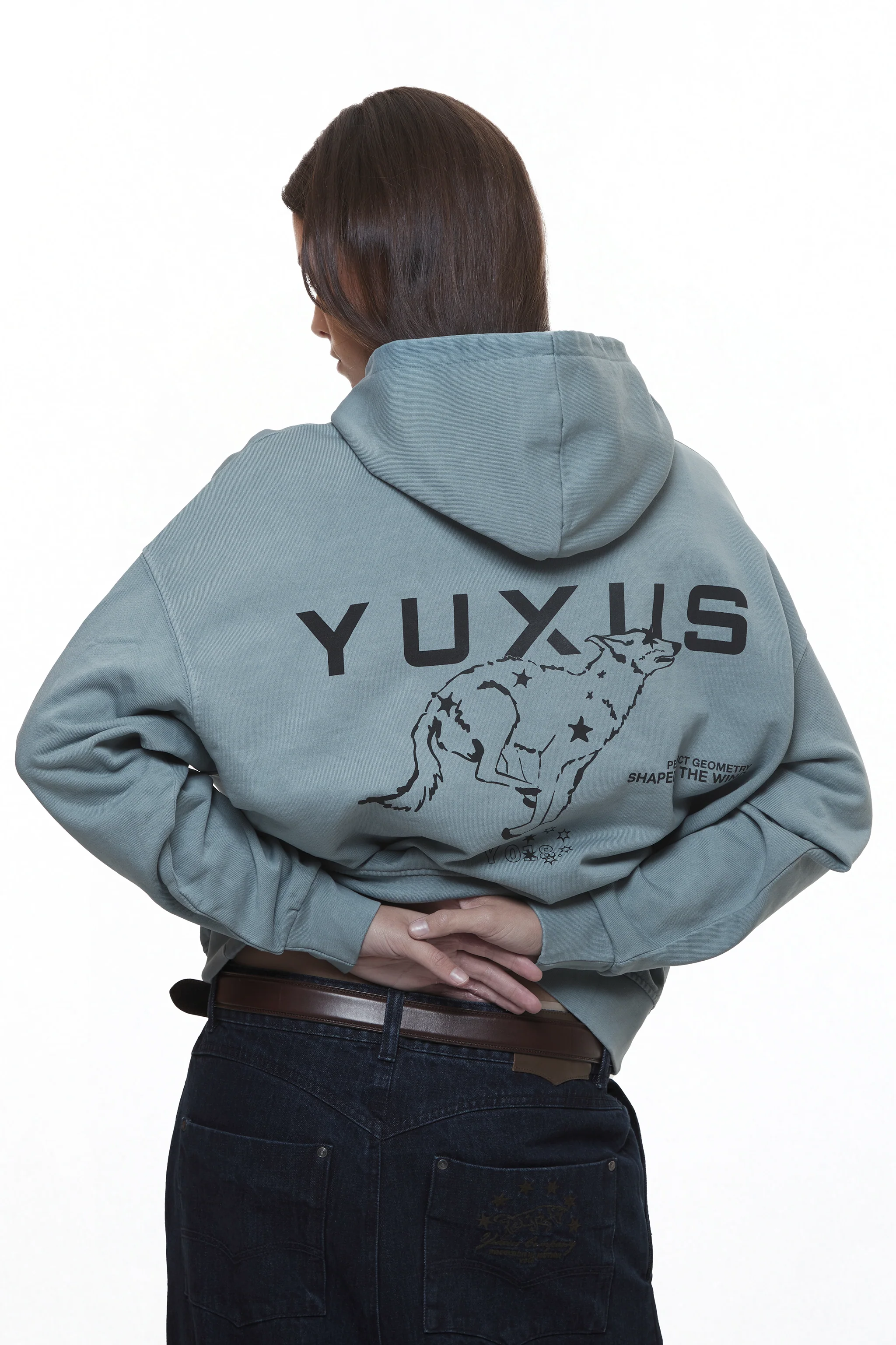 DIODE "WINDY" HOODIE - Image 3